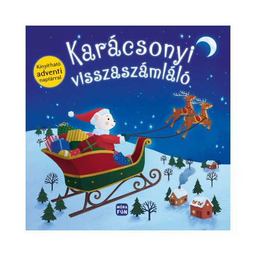 Karácsonyi visszaszámláló - Kinyitható adventi naptárral!