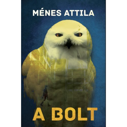 A bolt