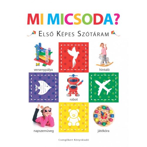 Mi micsoda? – Első képes szótáram